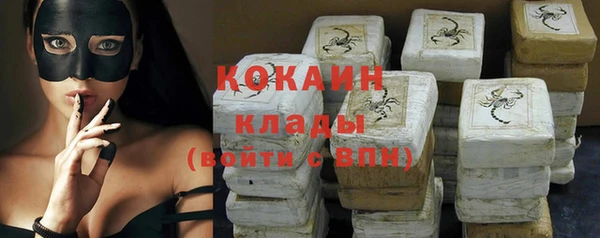 ешки Инта