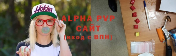 ешки Инта