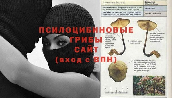 ешки Инта