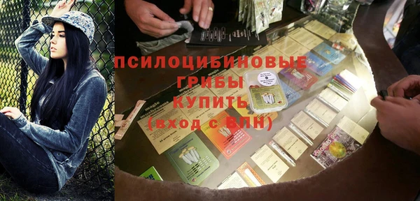 ешки Инта