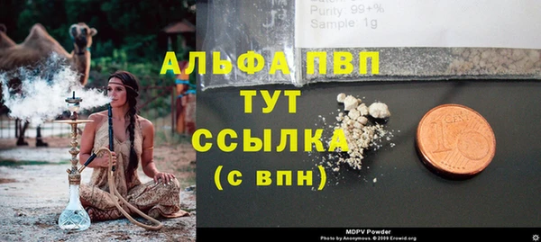 ешки Инта
