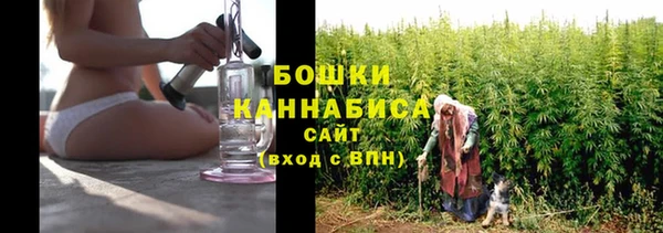 ешки Инта