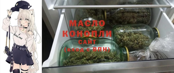 ешки Инта